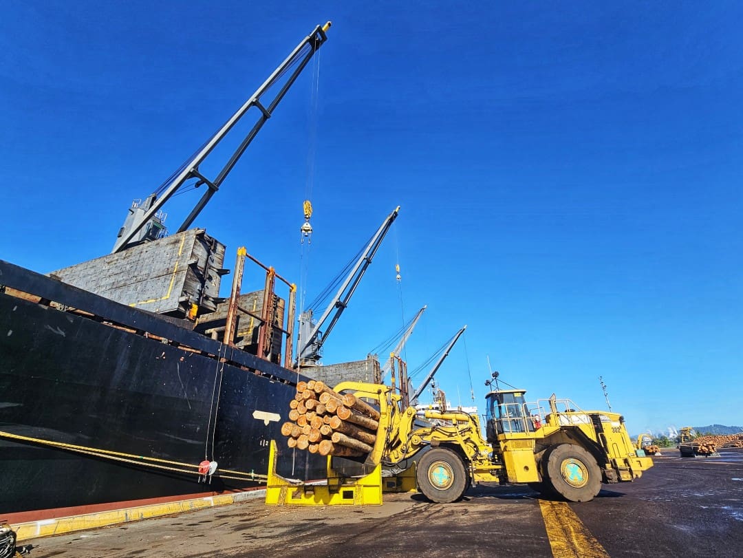 Log Export: Weyerhaeuser Log Dock, Longview, WA